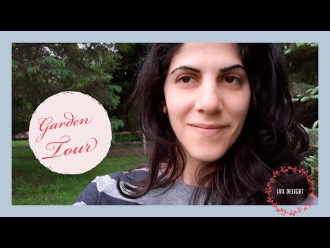 Garden Tour - How to prune roses for continuous blooms - Best way to prevent weeds