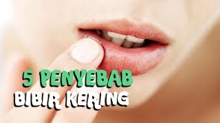 5 Penyebab Bibir Kering, Zat Kimia Lipstik Bisa Jadi Pemicunya, Cek Faktanya!