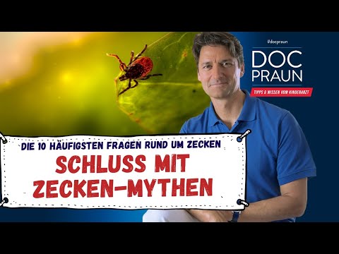 Die 10 häufigsten Fragen und Mythen rund um die Zecke