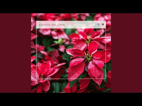 Alegría para el mundo: Sonidos de Navidad