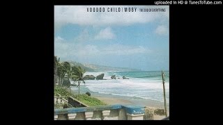 Voodoo Child (Moby) - Reject