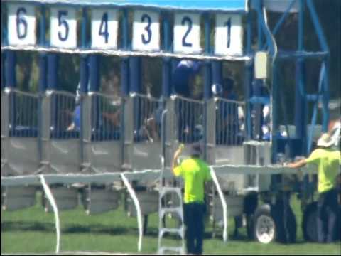 HH Sheikh Bin Zayed Bin  Sultan Al Nahyan Cup - Caulfield 2014