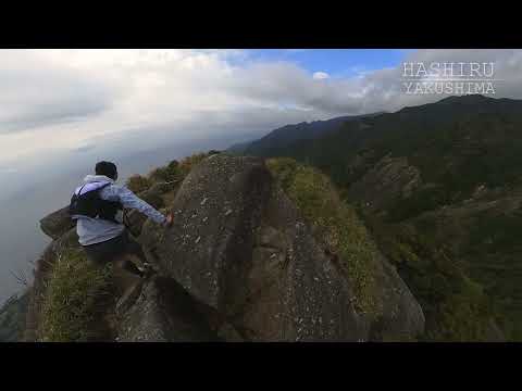 HASHIRU / YAKUSHIMA -Trail Running- / 屋久島トレイルラン