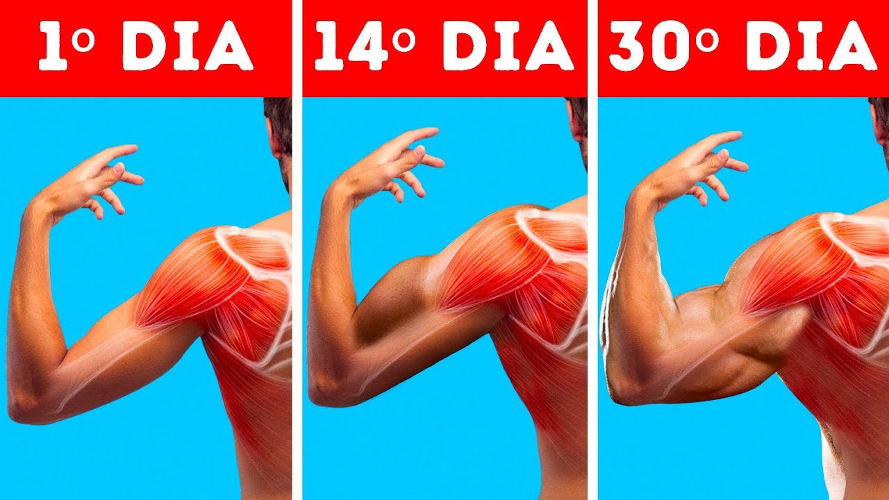 6 Exercícios Rápidos Para Ter Ombros Maiores