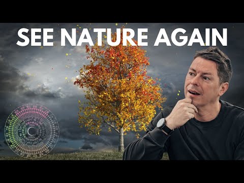 Why Japan Has 72 Seasons Instead of 4 (And How It Will Change How You See Nature)