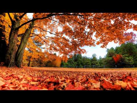 Sebastian Brandt - Mysteria (Original Mix)