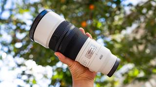 SONY 알파 FE 400mm F4.5 GM OSS (정품)_동영상_이미지