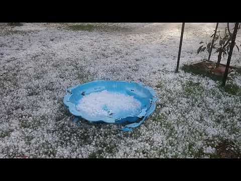 After the hail storm of 29/10/17