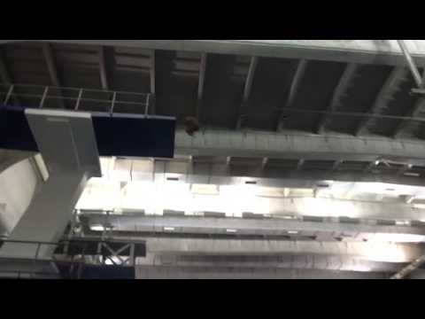 Jordan Windle 407C Perfect Dive!