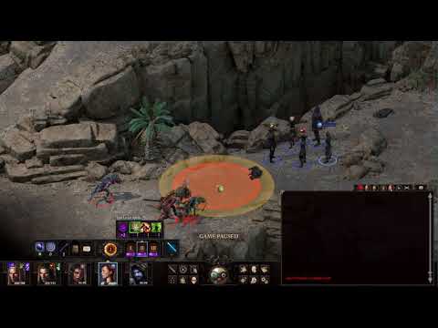 Pillars of Eternity 2 Beta 4 Seer Highlight