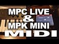 MPC LIVE And MPK MINI Connecting MIDI