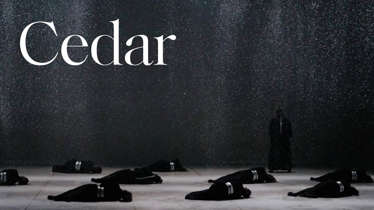 Cedar |  東京舞座
