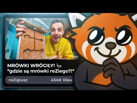 EWRON OGLĄDA NOWE MRÓWKI REZIEGO