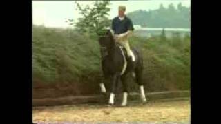 Video von Davignon I