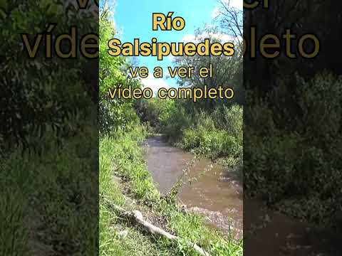 el vídeo completo se puede ver en este mismo canal "Salsipuedes, Córdoba, Argentina.