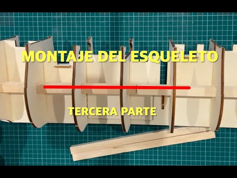 Santísima Trinidad - Assembly of the skeleton - Part Three