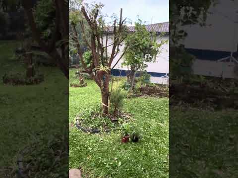 Chuva de pedra - Rio negro - Paraná - 01/09/26
