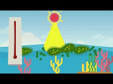 4 Climate Change And Greenland Fun Facts