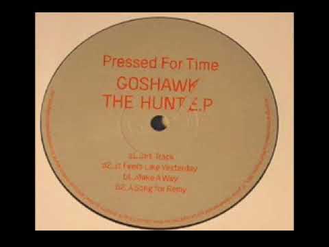 Goshawk - Dirt Track