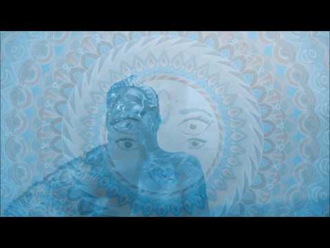 Dr.Elektroorganik - Chickinbeat Meditation 2.0