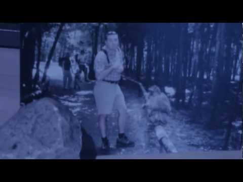 Vlaška pesma "Gîldánu" Latino Musik, Goran Djordjevic, Muzică populară