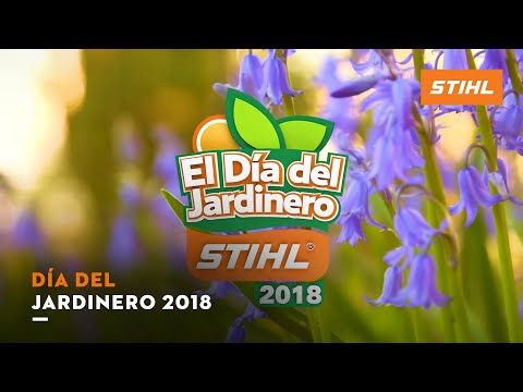 download lagu mp3 mp4 Dia Del Jardinero 2018, download lagu Dia Del Jardinero 2018 gratis, unduh video klip Dia Del Jardinero 2018