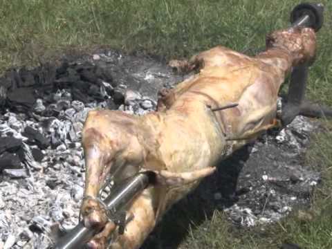 REPORTAZA 2015 - 5 Jagnjijada Vucija Luka - (Tv Duga Plus)