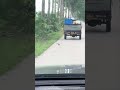 Hard to believe — picking up live fish all down the country road
