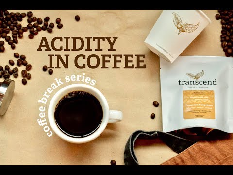 Coffee break ep. 5: What is acidity in coffee?