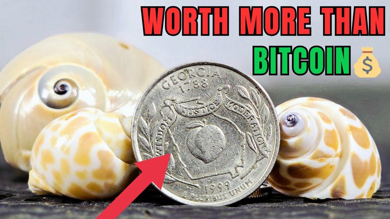 These 5 State Quarters Can Make You Rich in 2025 | Sold for Shocking Prices!