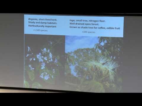 CATH KIDNER. Using Transcriptomes to Understand Tropical Radiations