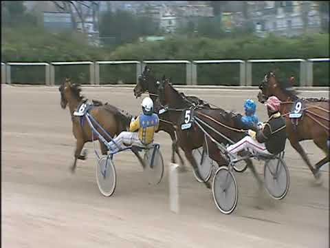 Trotto 14/01/2020 - 4ª corsa