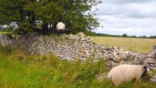 World Walks - Walking in the Cotswolds, England