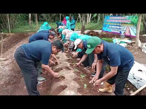Gerakan Tanam Cabai Serentak