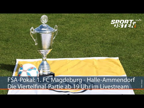 FSA-Pokal-Halbfinale: 1. FC Magdeburg - BSV Halle-Ammendorf | Sport im Osten | MDR