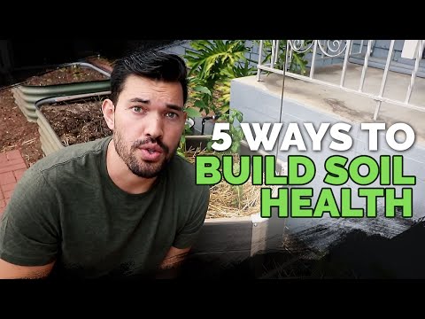 5 Easy Ways To Build Soil Health For FREE 😱 🆓