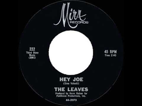 1966 HITS ARCHIVE: Hey Joe - Leaves (mono)