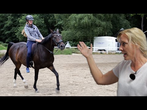 Stute aus Bayern sucht Hilfe im Norden - Cataleya kann unterm Reiter nicht laufen