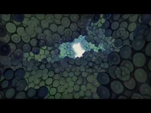 The seven days dream 七日梦 (animated short film)