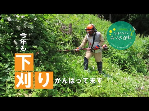 東京の森づくりのため、炎天下の中、今年も下刈りがんばってます