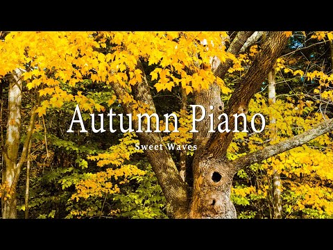 11 HRS Incredible Fall Foliage - Best 4K Autumn Nature Scenes from Around the World + Calming Music