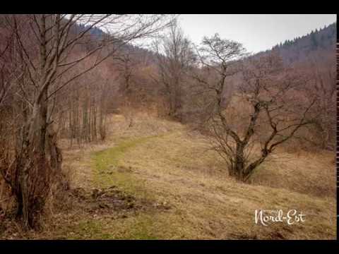 Drumeţie la Bisericani (www.descoperanordest.ro)