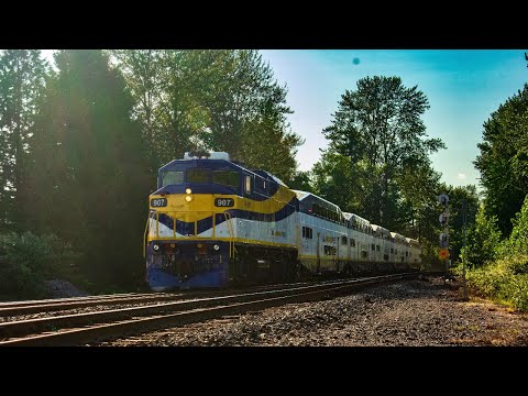 (WCEX 907!!) 6 Late Afternoon Train Catch Collection On The CPKC Cascades Subdivision.