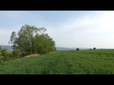 Velebí moja duša Pána - Magnifikat - Chválospev Panny Márie