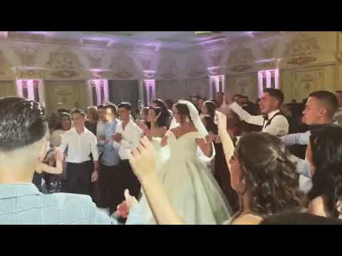 Koki surle Dasem 2019