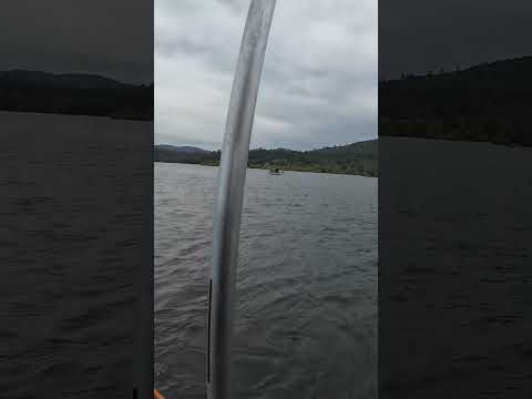 Collins Lake Fishing Report | May 25, 2026