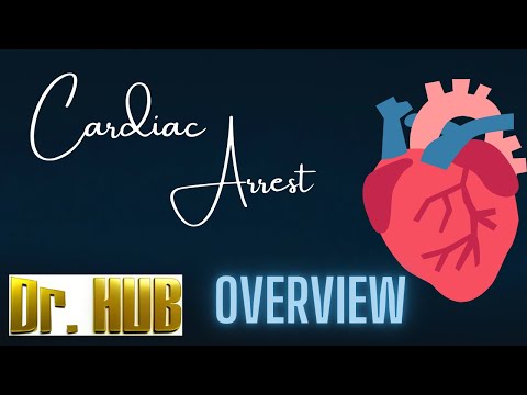 Adult cardiac arrest algorithm - overview