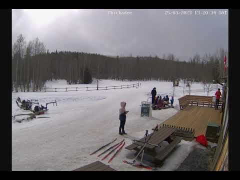 WBC Chickadee Cam - 2023.03.25