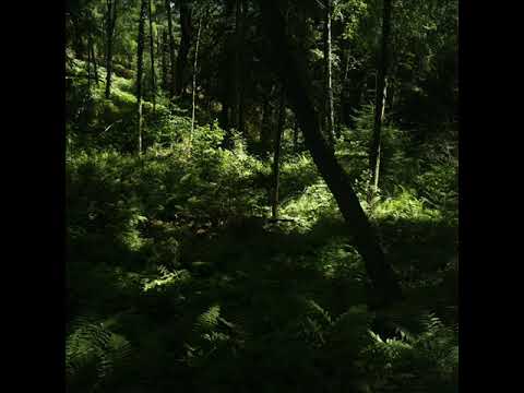 Docetism : Almindingen