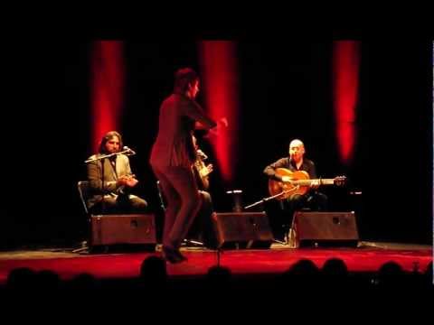 Danseur flamenco Daniel Navarro.  Pena A Contratiempo . Roubaix 23/03/13